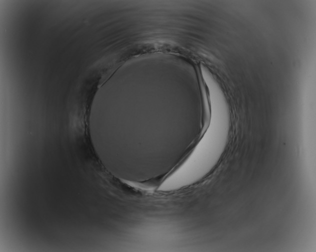 X0000088471014200706191344