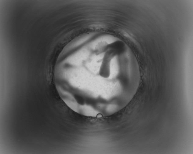 X0000088471015200706191344