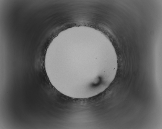 X0000088471016200706191344