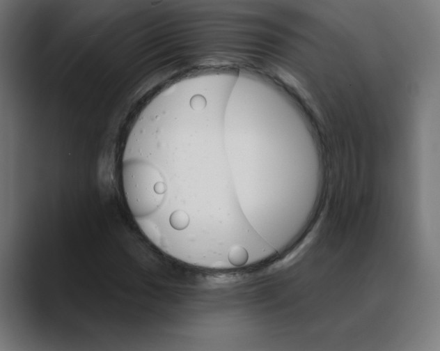 X0000088471017200706191344