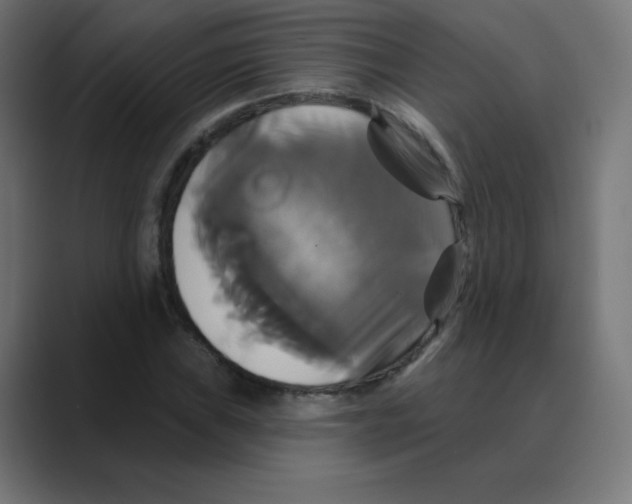 X0000088471019200706191344