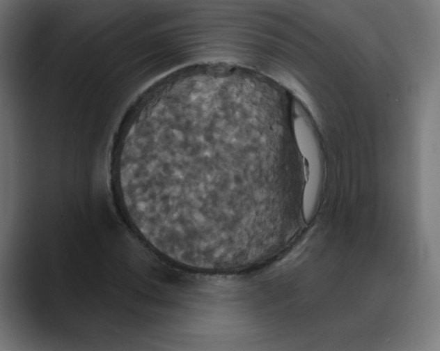 X0000088471020200706191344