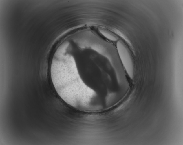 X0000088471021200706191344