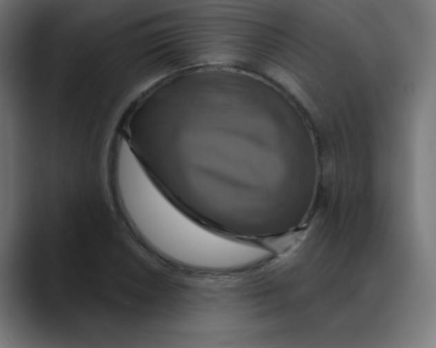 X0000088471026200706191344