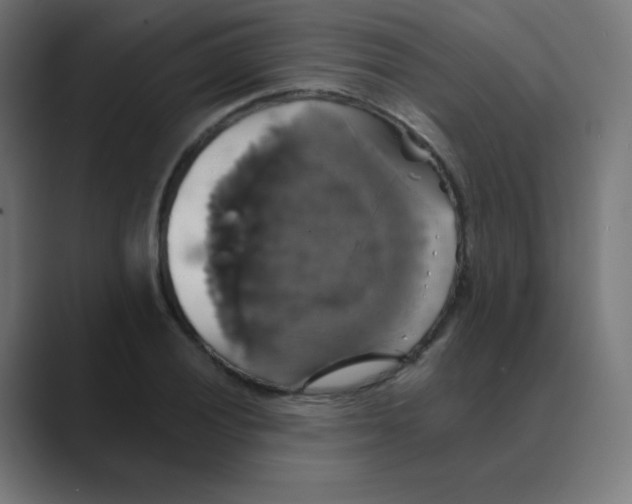 X0000088471028200706191344