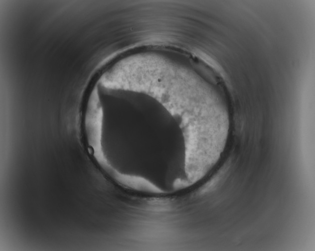 X0000088471029200706191344