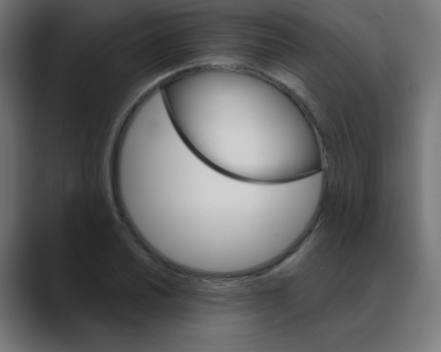 X0000088471030200706191344