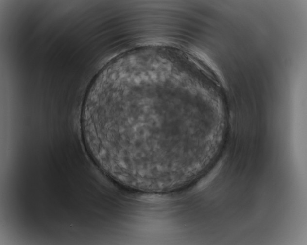 X0000088471033200706191344