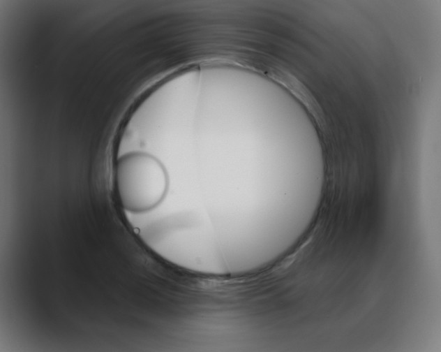 X0000088471036200706191344