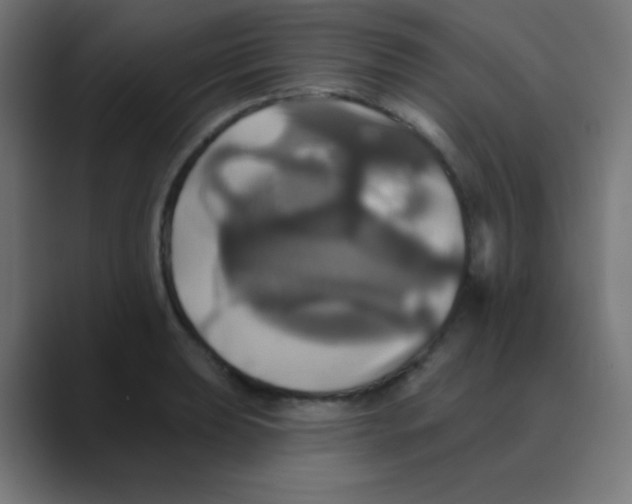 X0000088471039200706191344