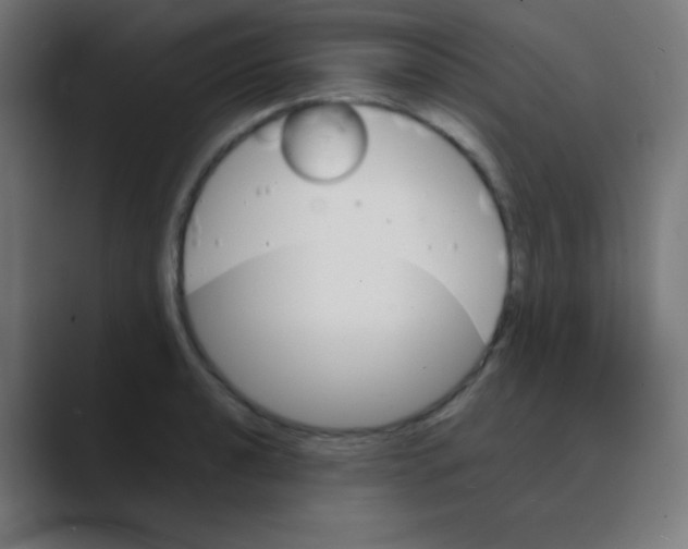 X0000088471040200706191344