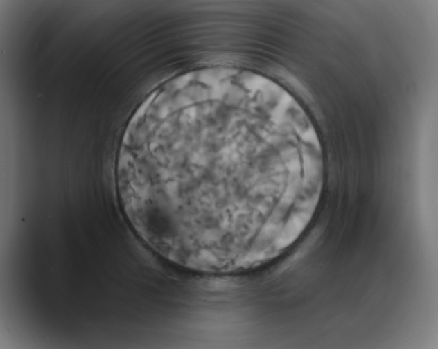 X0000088471041200706191344