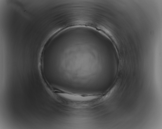 X0000088471042200706191344