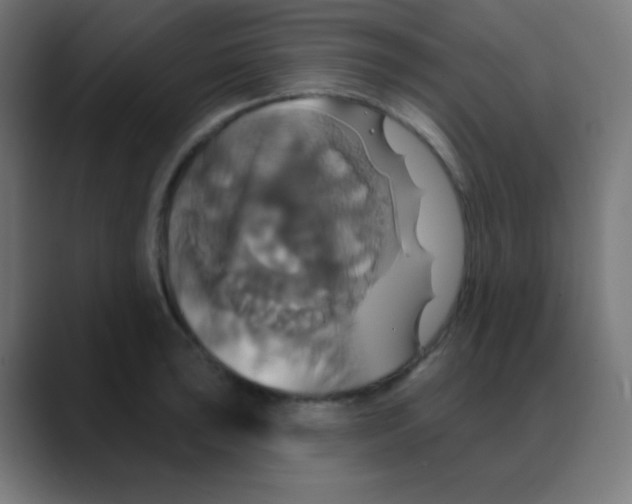 X0000088471043200706191344