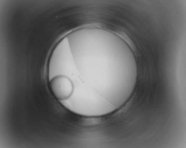 X0000088471044200706191344