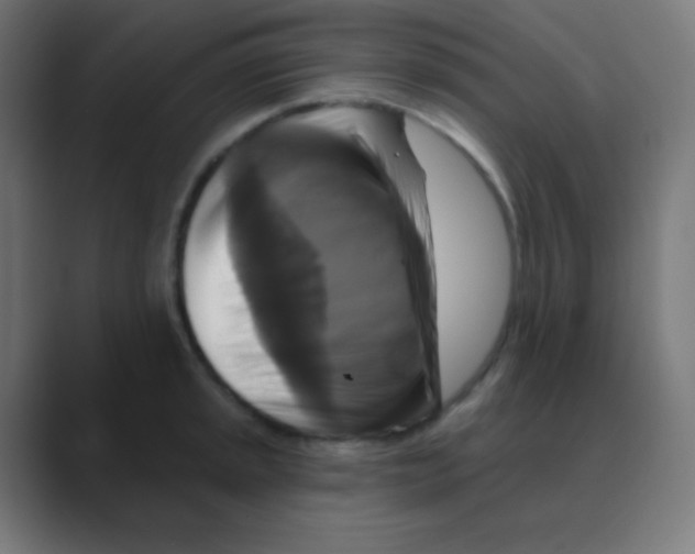 X0000088471045200706191344