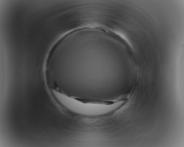 X0000088471046200706191344