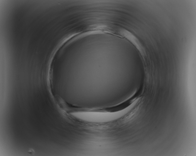 X0000088471050200706191344