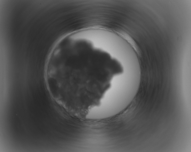 X0000088471051200706191344