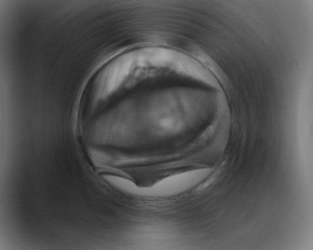 X0000088471052200706191344