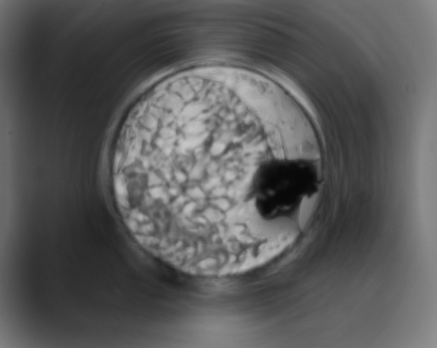 X0000088471053200706191344