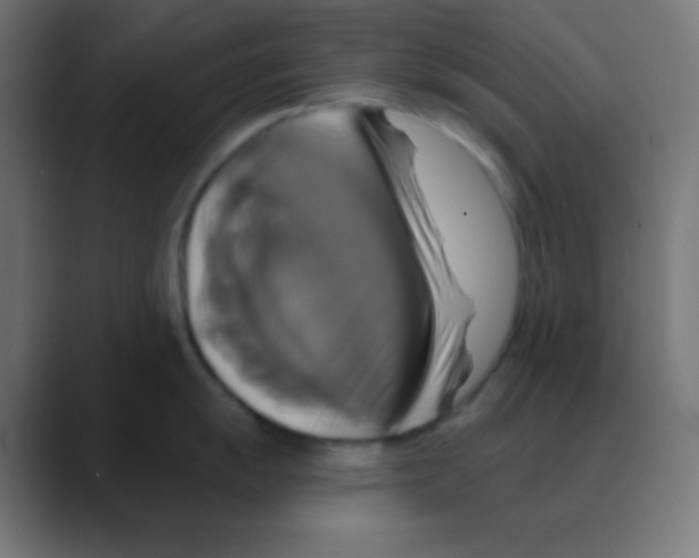 X0000088471055200706191344