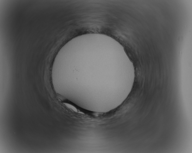 X0000088471057200706191344