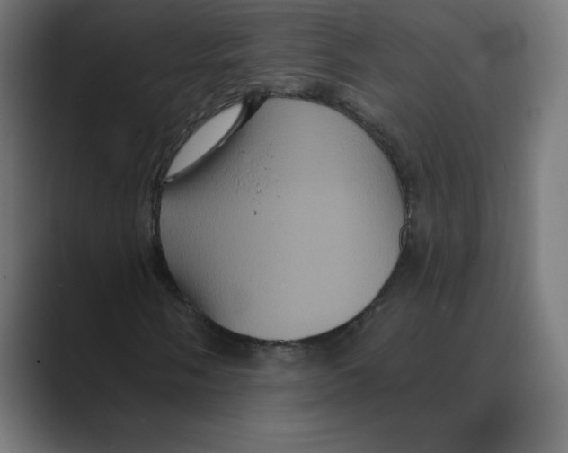 X0000088471058200706191344