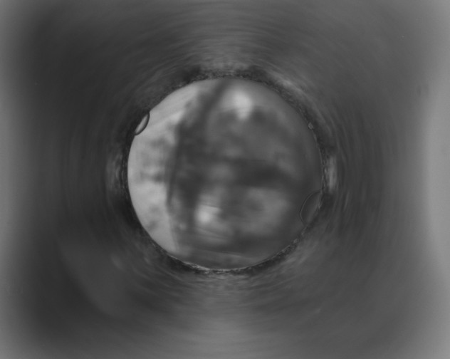 X0000088471059200706191344