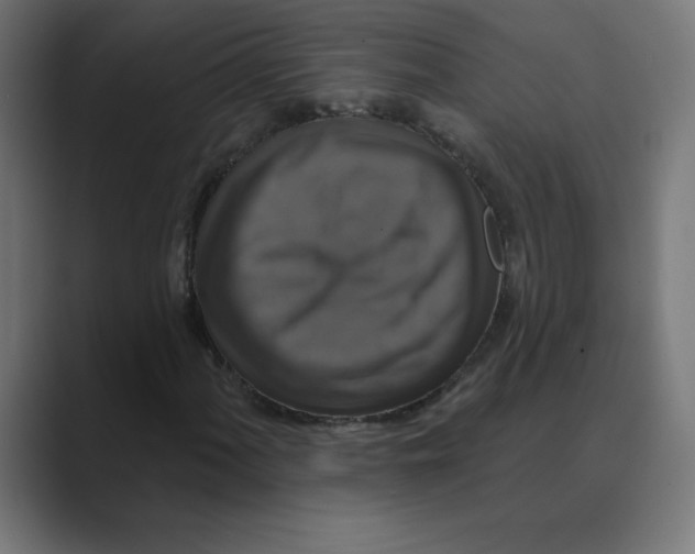 X0000088471060200706191344