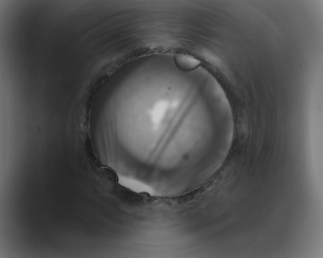 X0000088471063200706191344