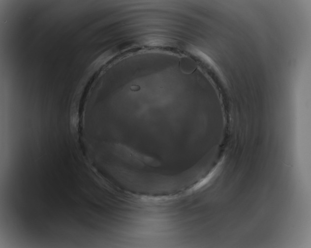 X0000088471065200706191344