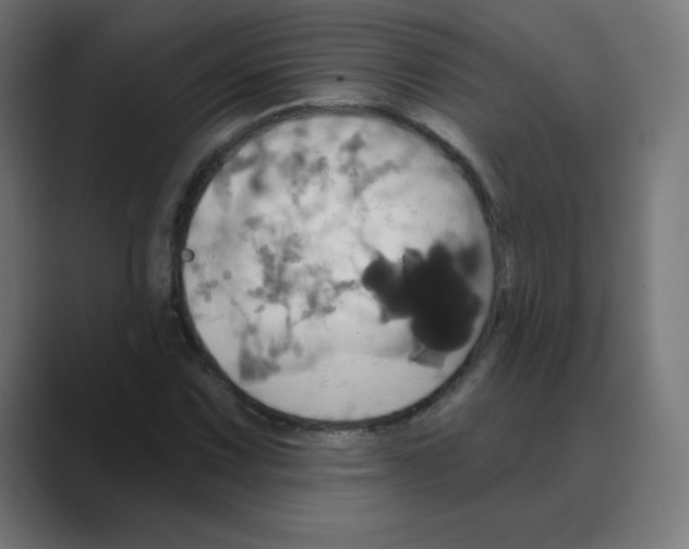 X0000088471067200706191344