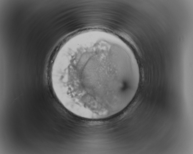 X0000088471068200706191344