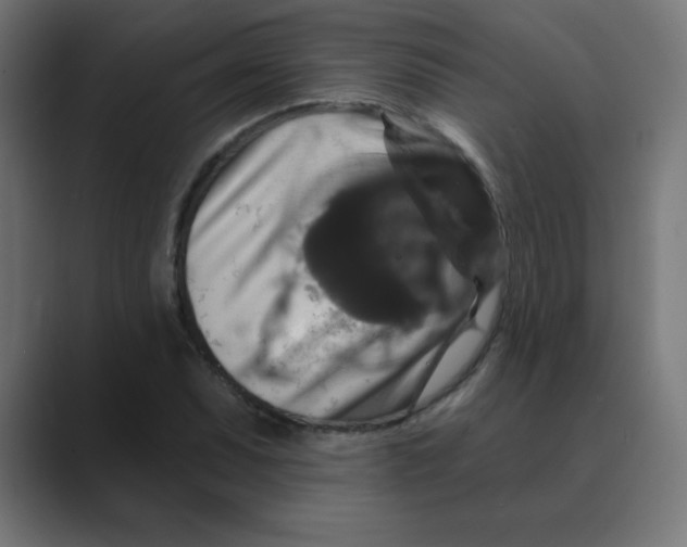 X0000088471071200706191344