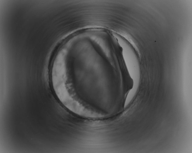 X0000088471072200706191344