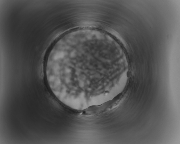 X0000088471075200706191344