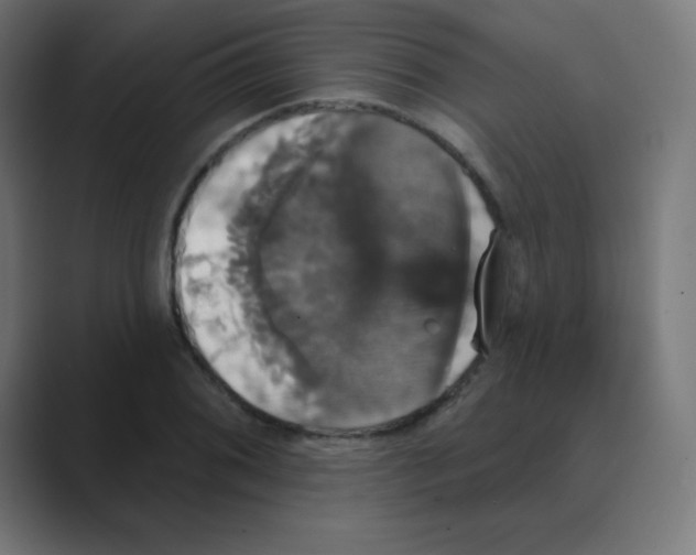 X0000088471076200706191344