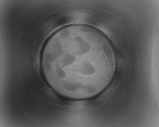 X0000088471078200706191343