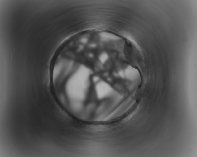 X0000088471079200706191343