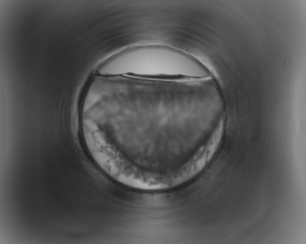 X0000088471080200706191343