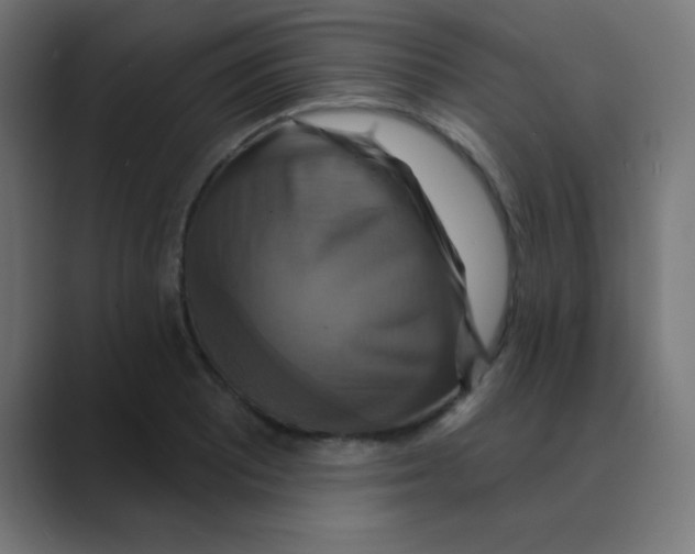 X0000088471081200706191343