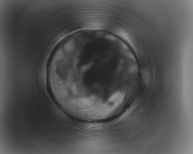 X0000088471083200706191343