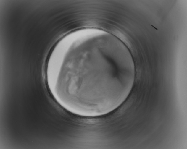 X0000088471084200706191343