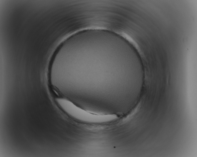 X0000088471085200706191343