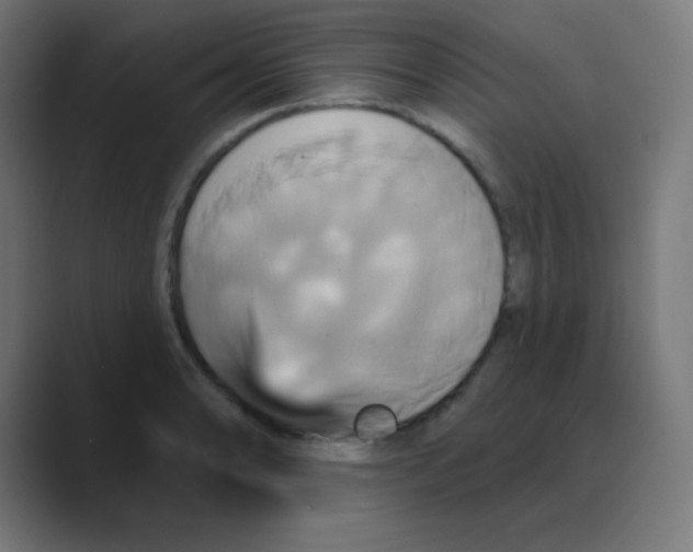 X0000088471086200706191343