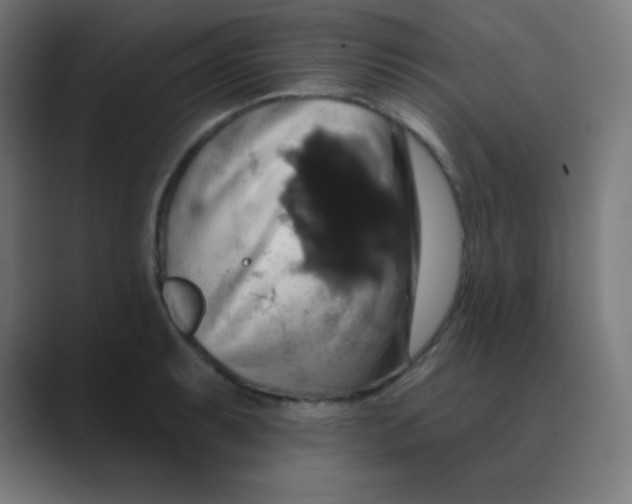 X0000088471087200706191343