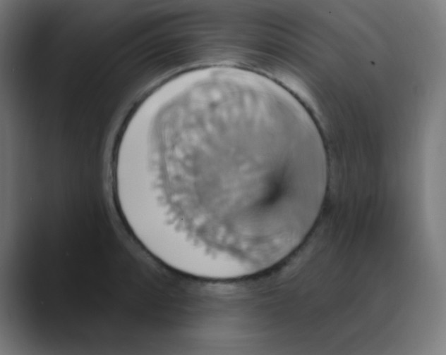 X0000088471088200706191343