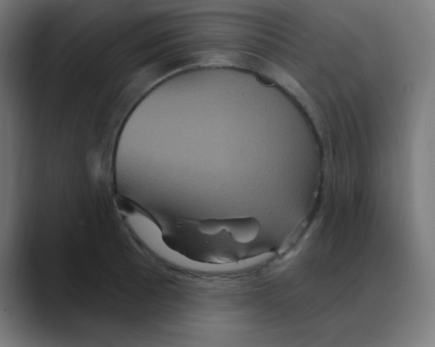 X0000088471089200706191343