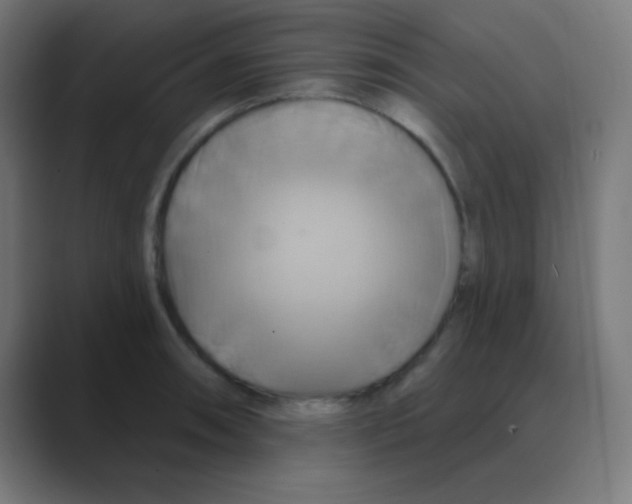 X0000088471090200706191343